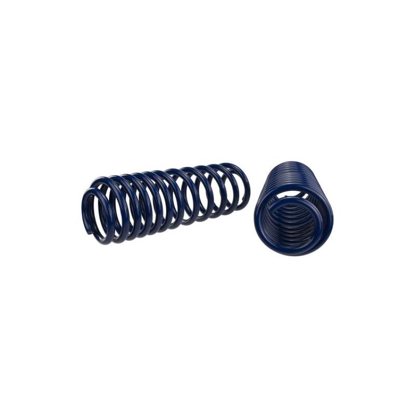 Ford Racing M-5300-L 2007-2014 Mustang Shelby GT500 Springs