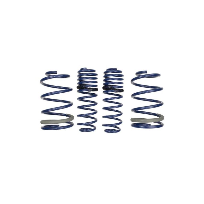Ford Racing M-5300-PA 2005-2014 Mustang GT Track Lowering Springs