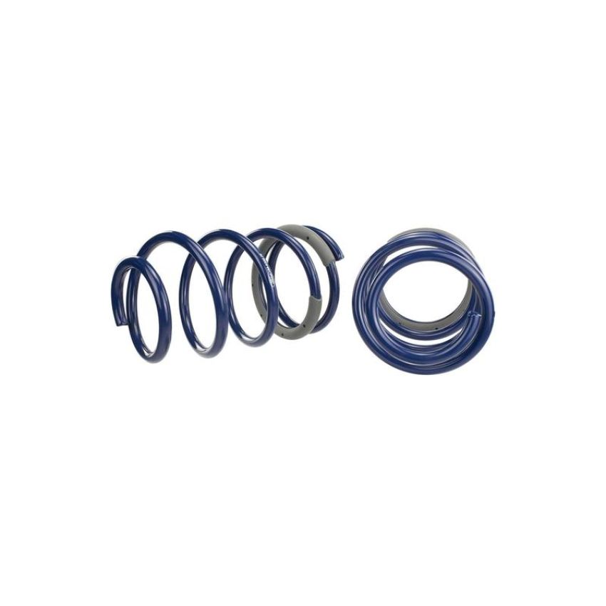 Ford Racing M-5300-PA 2005-2014 Mustang GT Track Lowering Springs