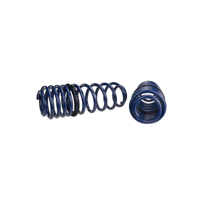 Ford Racing M-5300-PA 2005-2014 Mustang GT Track Lowering Springs