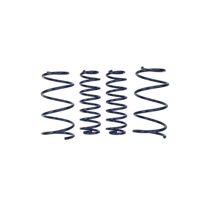 Ford Racing M-5300-RA 2013 Cobra Jet Spring Kit