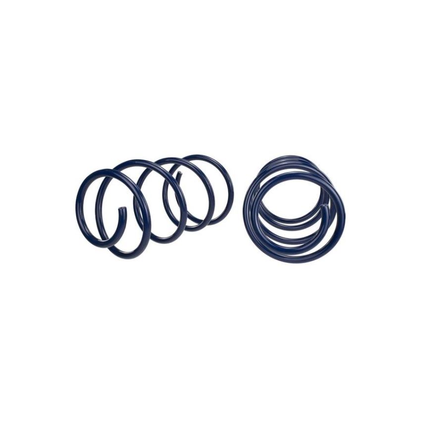 Ford Racing M-5300-RA 2013 Cobra Jet Spring Kit