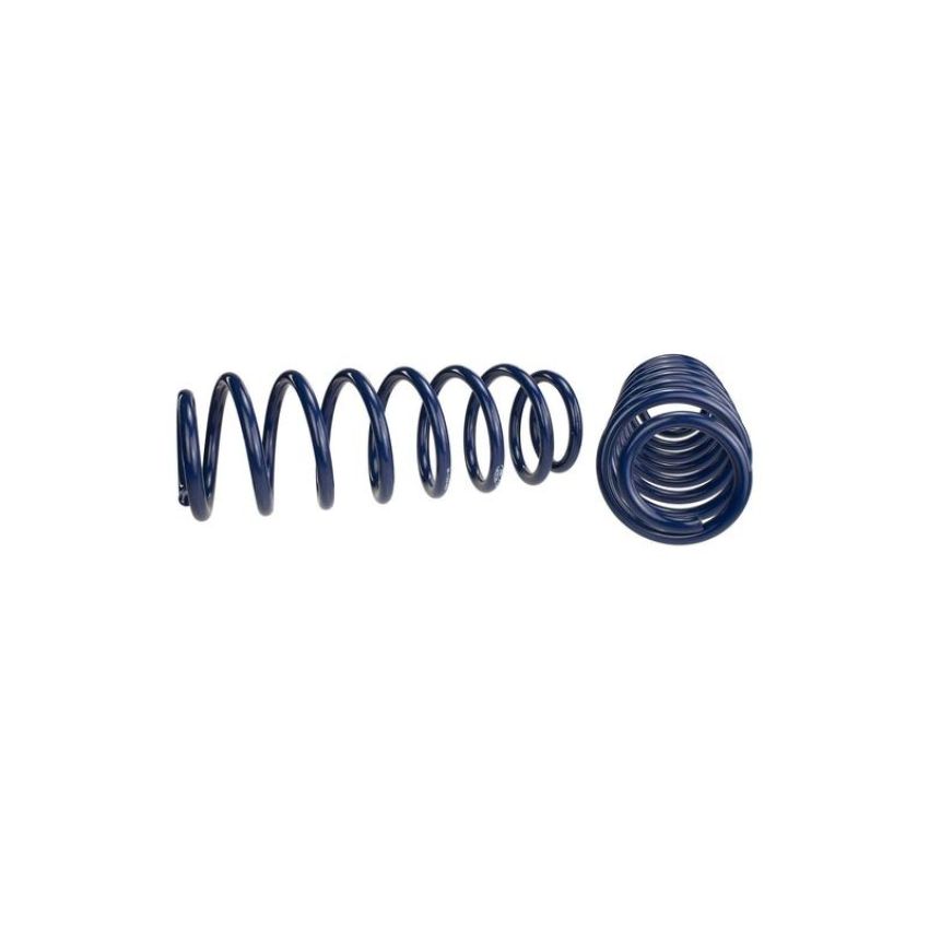 Ford Racing M-5300-RA 2013 Cobra Jet Spring Kit