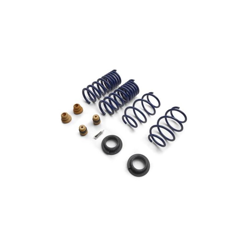 Ford Racing M-5300-S65S 2015-2024 Mustang Street Lowering Spring Kit
