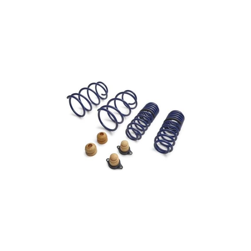 Ford Racing M-5300-T 2012-2013 Boss 302 Lowering Springs