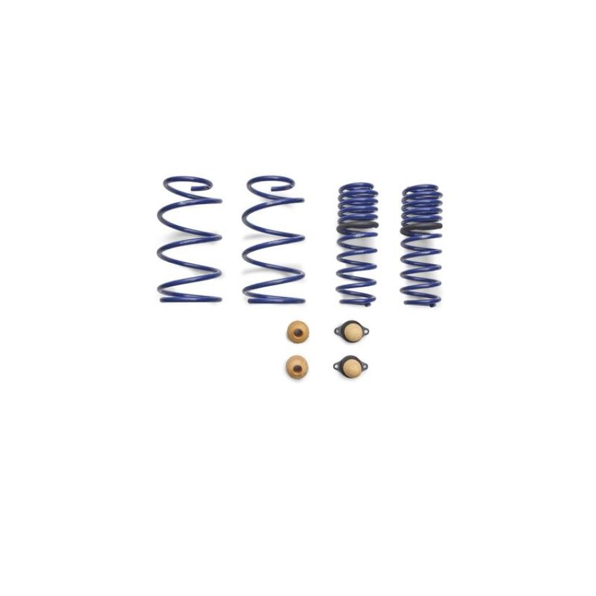 Ford Racing M-5300-T 2012-2013 Boss 302 Lowering Springs