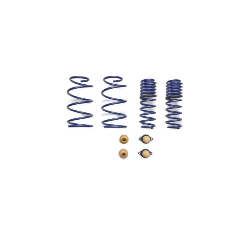 Ford Racing M-5300-T 2012-2013 Boss 302 Lowering Springs