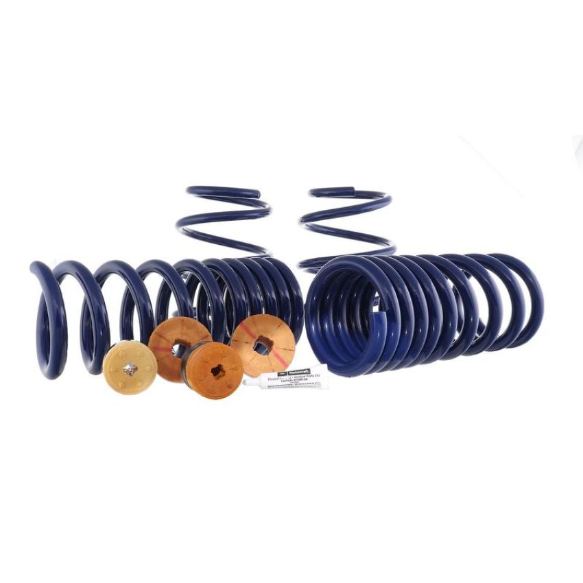 Ford Racing M-5300-YA 2015-2023 Mustang Track Lowering Spring Kit