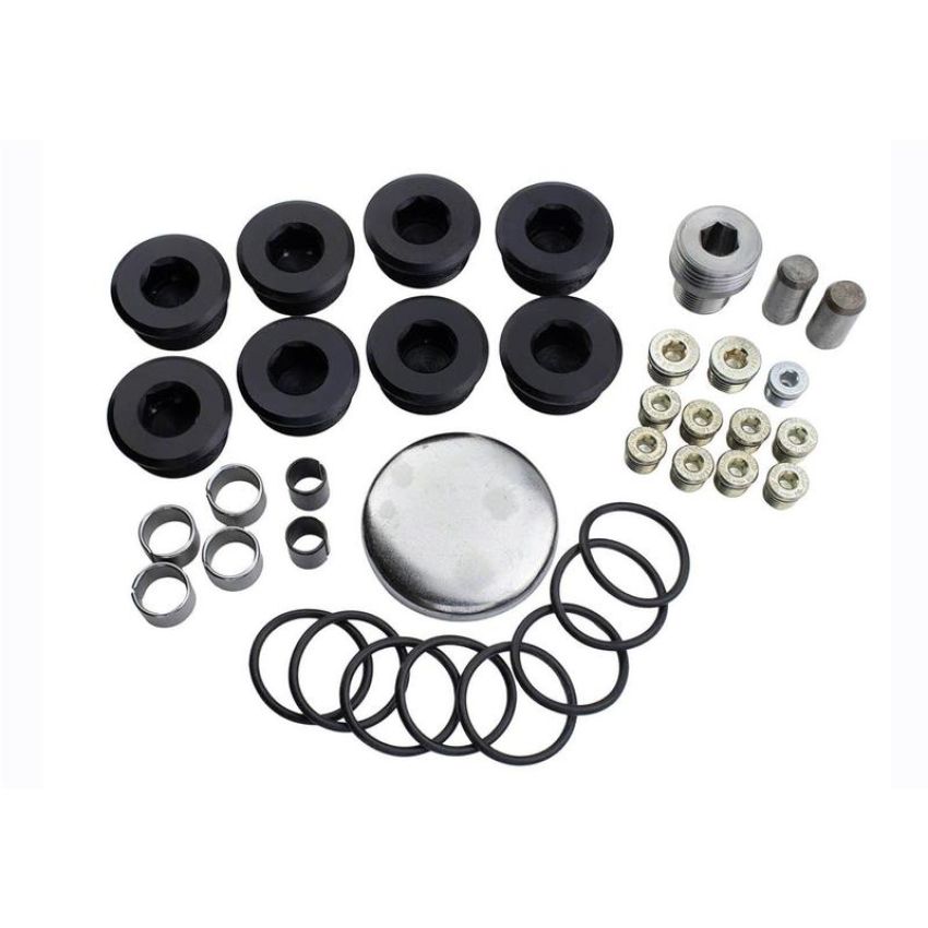 Ford Racing M-6026-BOSS Plug And Dowel Kit For All Boss Blocks