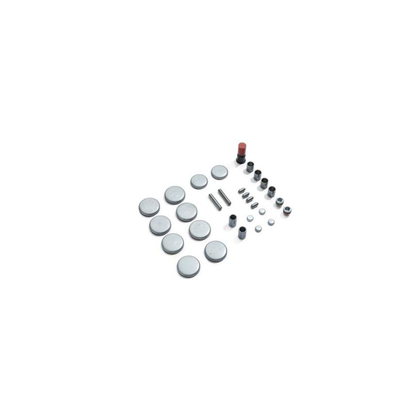 Ford Racing M-6026-BOSS50 Block Plug And Dowel Kit For Boss 5.0 Block