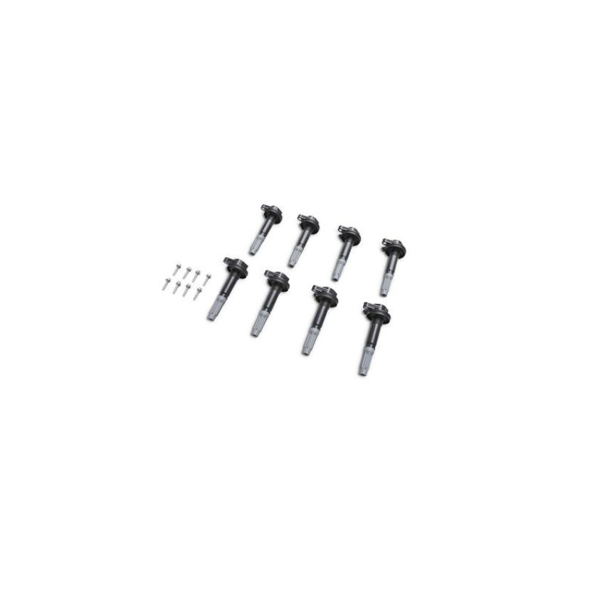 Ford Racing M-6026-BOSS50 Block Plug And Dowel Kit For Boss 5.0 Block