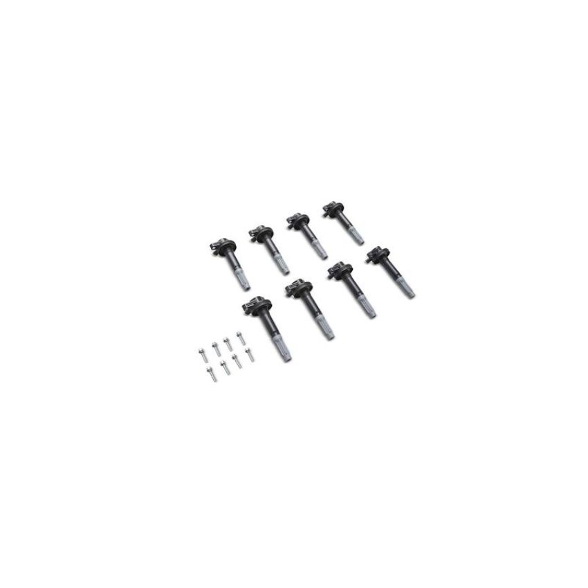 Ford Racing M-6026-BOSS50 Block Plug And Dowel Kit For Boss 5.0 Block
