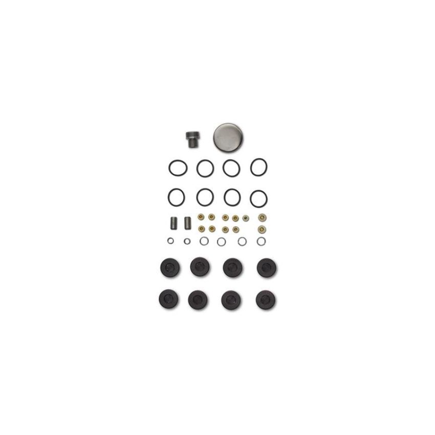 Ford Racing M-6026-BOSS Plug And Dowel Kit For All Boss Blocks