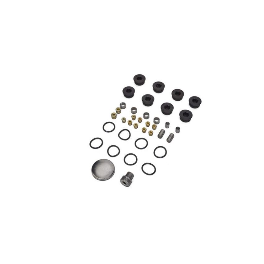 Ford Racing M-6026-BOSS Plug And Dowel Kit For All Boss Blocks