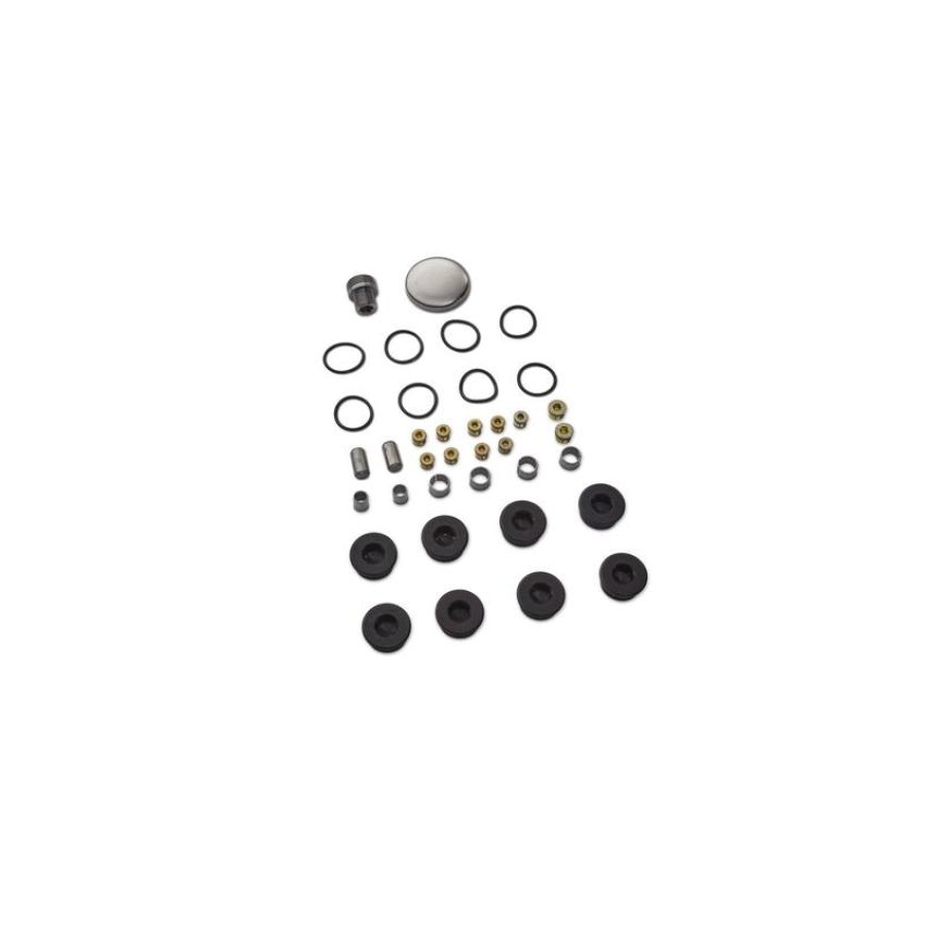 Ford Racing M-6026-BOSS Plug And Dowel Kit For All Boss Blocks