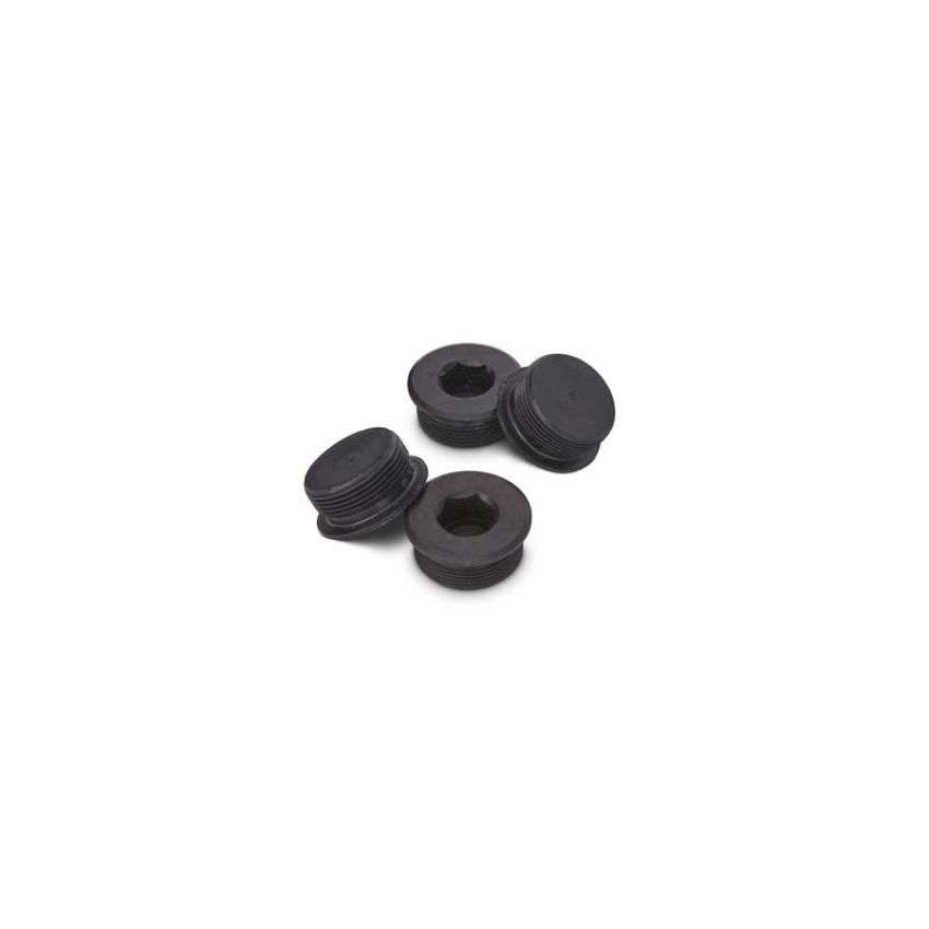 Ford Racing M-6026-BOSS Plug And Dowel Kit For All Boss Blocks