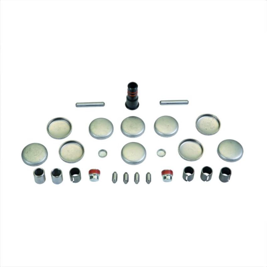 Ford Racing M-6026-CI46 Plug And Dowel Kit