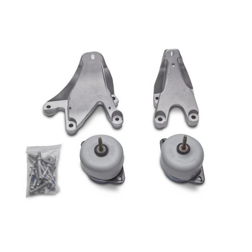 Ford Racing M-6038-M50 5.0L Coyote Engine Mount Kit