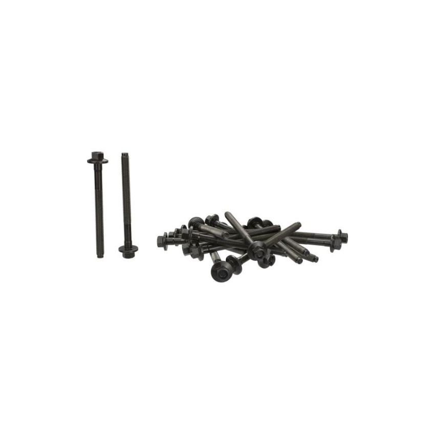 Ford Racing M-6067-M50 2015-2017 5.0L Coyote Head Changing Kit-11MM Head Bolts