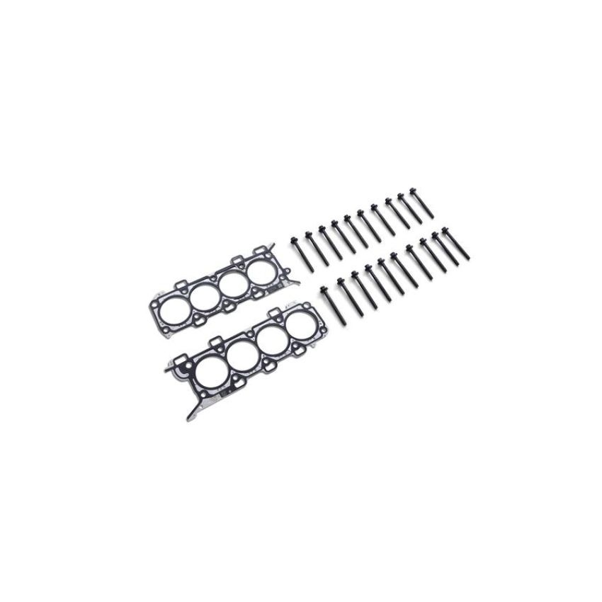 Ford Racing M-6067-M50BR11 Boss 302R Head Changing Kit-11MM Head Bolts