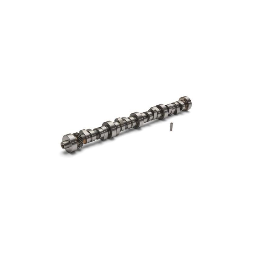 Ford Racing M-6250-X303 Small Block V-8 Hydraulic Roller Tappet Camshafts