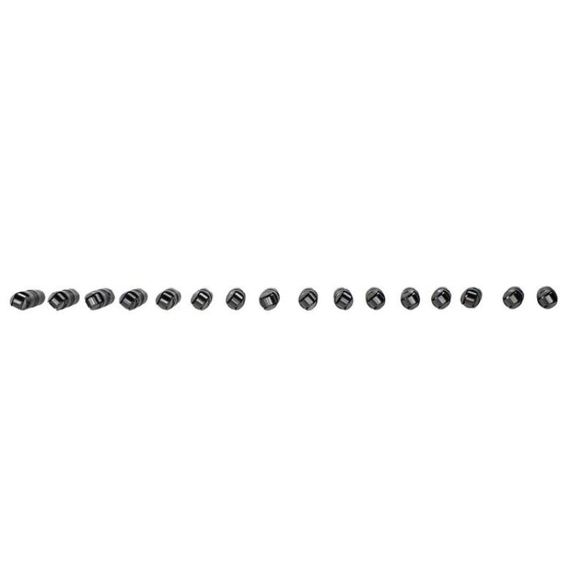 Ford Racing M-6500-R302 Hydraulic Roller Cam Lifters