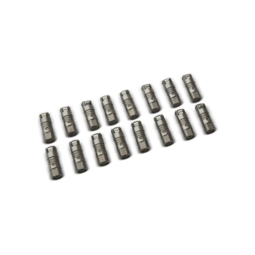 Ford Racing M-6500-R302H High Performance Hydraulic Roller Cam Lifters