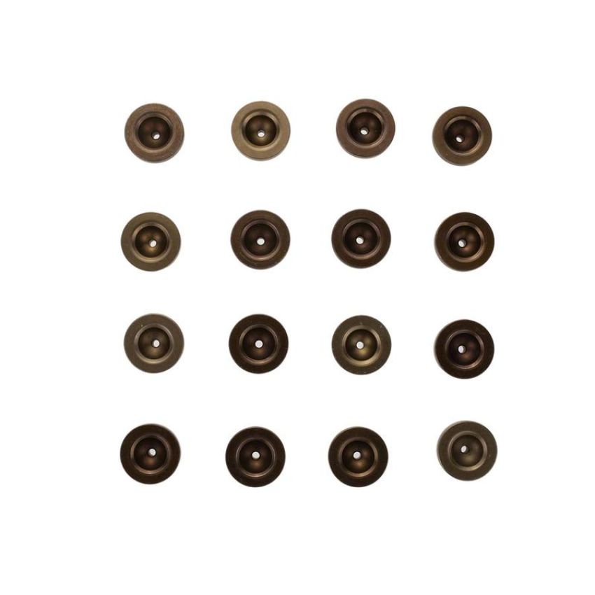 Ford Racing M-6500-R302HLC High Performance Hardened Steel Lifter Cup-Set of 16