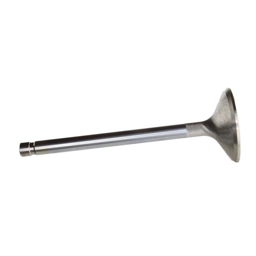 Ford Racing M-6505-A429 Exhaust Valve