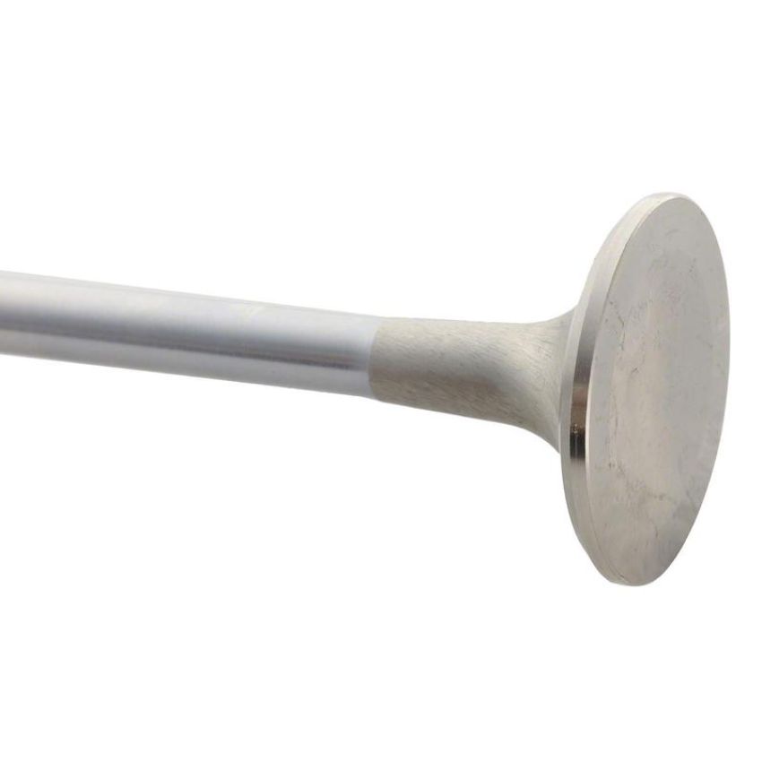 Ford Racing M-6505-B304 Exhaust Valve 302/351W