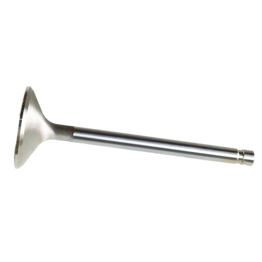 Ford Racing M-6505-B304 Exhaust Valve 302/351W