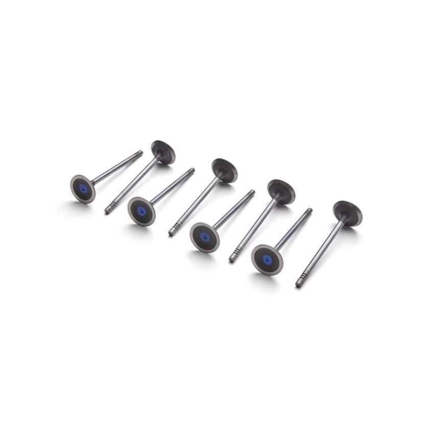 Ford Racing M-6505-M52 Exhaust Valve Lightweight 5.2L Coyote-Qty 8