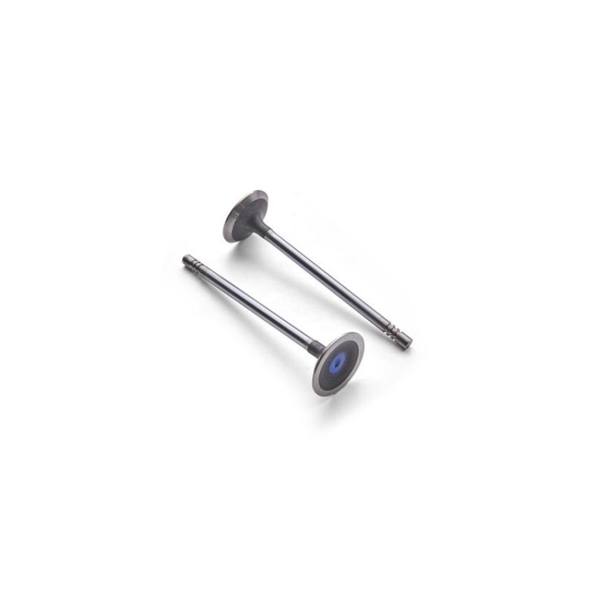 Ford Racing M-6505-M52 Exhaust Valve Lightweight 5.2L Coyote-Qty 8