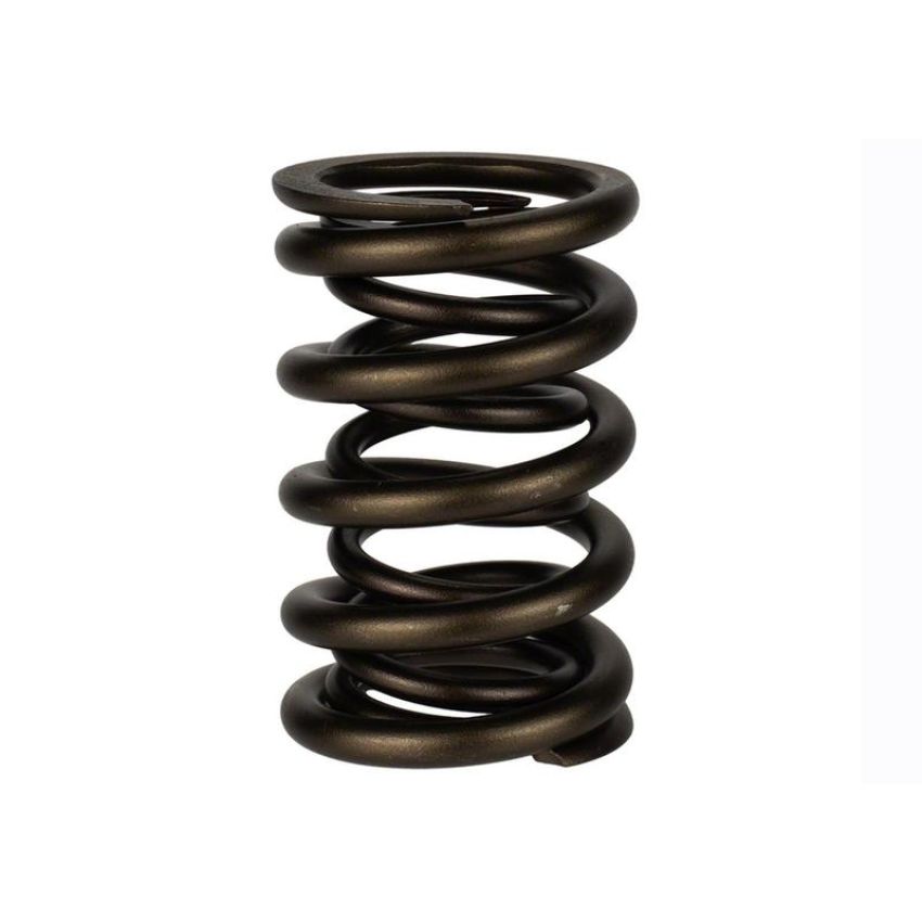 Ford Racing M-6513-17341 TVS-1734 Valve Spring (1)