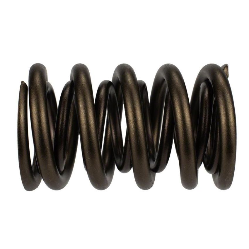 Ford Racing M-6513-17341 TVS-1734 Valve Spring (1)