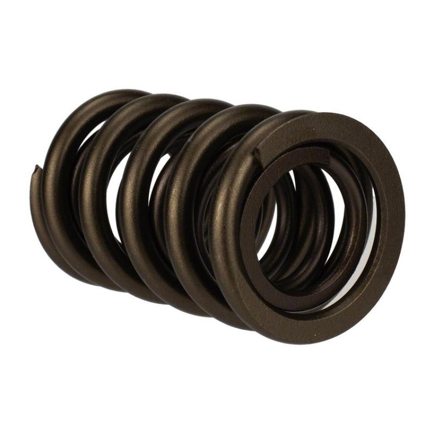 Ford Racing M-6513-17341 TVS-1734 Valve Spring (1)
