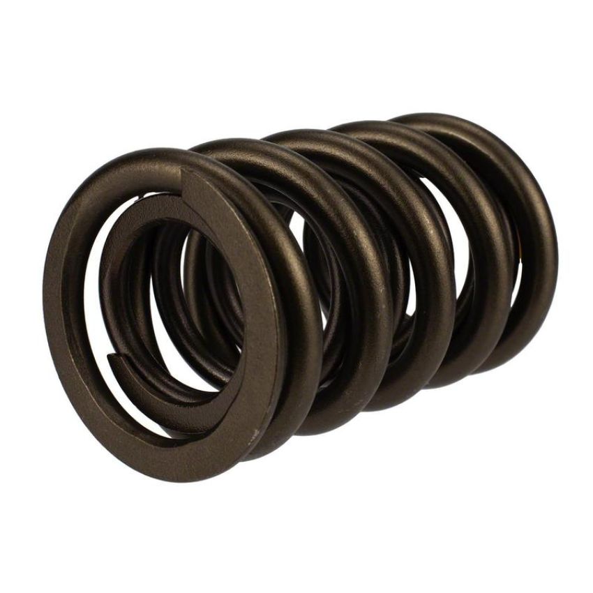 Ford Racing M-6513-17341 TVS-1734 Valve Spring (1)