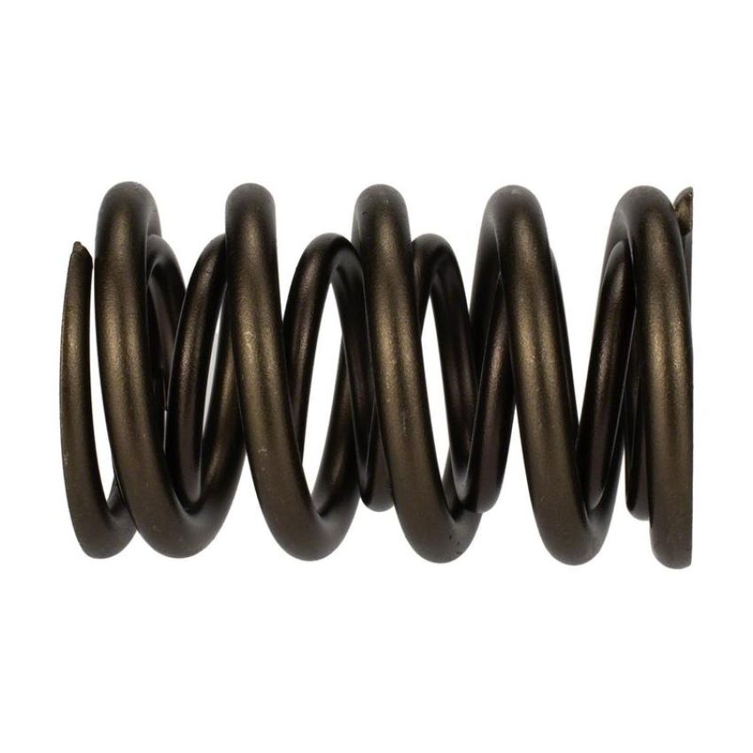 Ford Racing M-6513-17341 TVS-1734 Valve Spring (1)