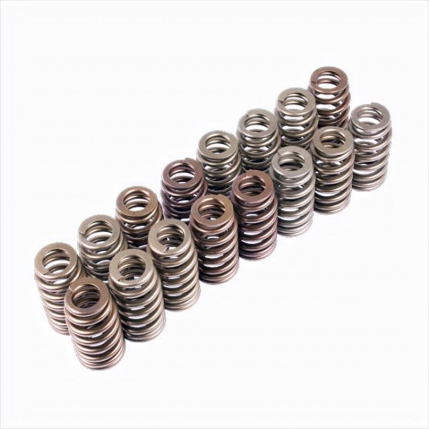 Ford Racing M-6513-M50BR Boss 302R Valve Spring Kit