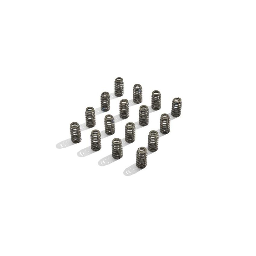 Ford Racing M-6513-M50BR Boss 302R Valve Spring Kit