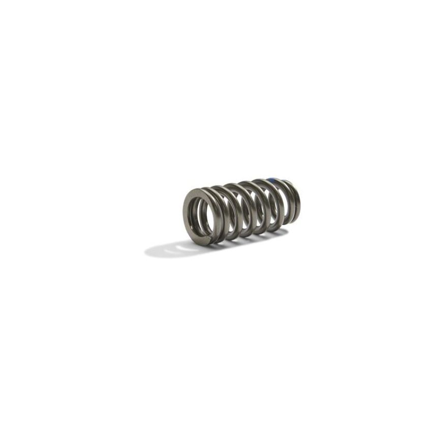 Ford Racing M-6513-M50BR Boss 302R Valve Spring Kit