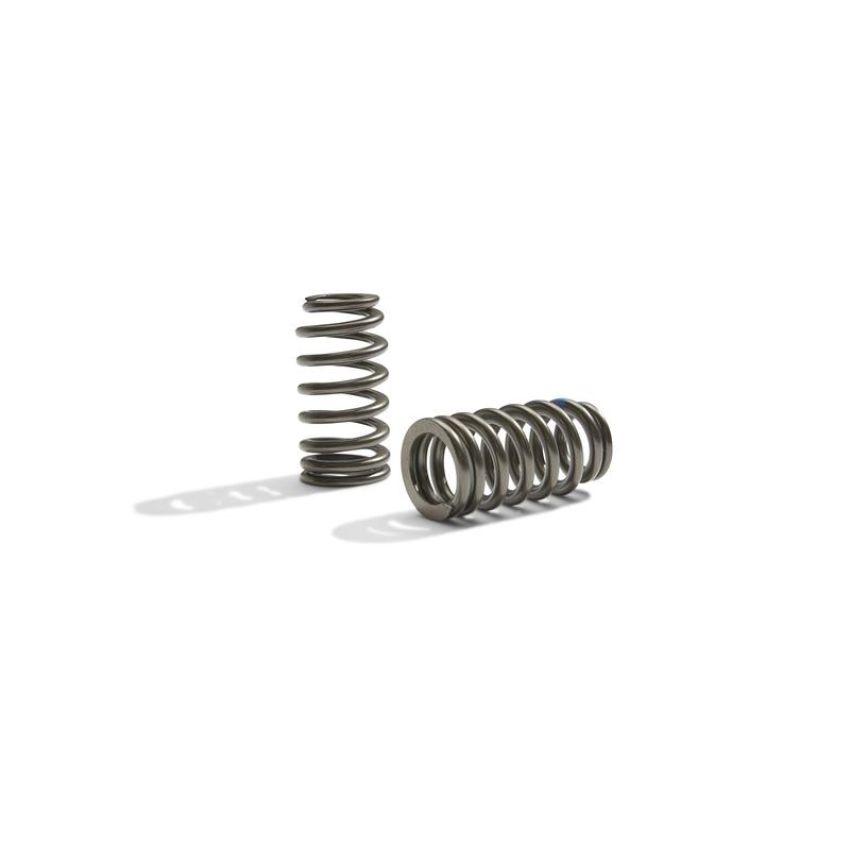 Ford Racing M-6513-M50BR Boss 302R Valve Spring Kit