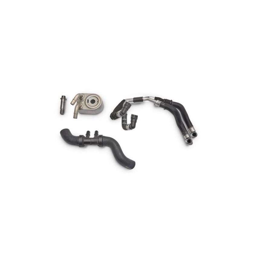 Ford Racing M-6642-MB Mustang Boss 302 Engine Oil Cooler