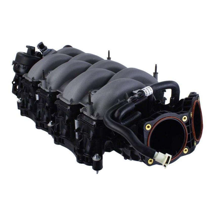 Ford Racing M-9424-M50D 2024-2025 Mustang 5.0L Dual Throttle Body Intake Manifold