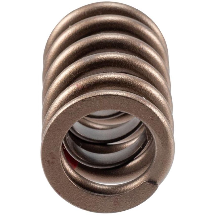 MELLING SELECT PERFORMANCE 466864 High Performance Valve Spring
