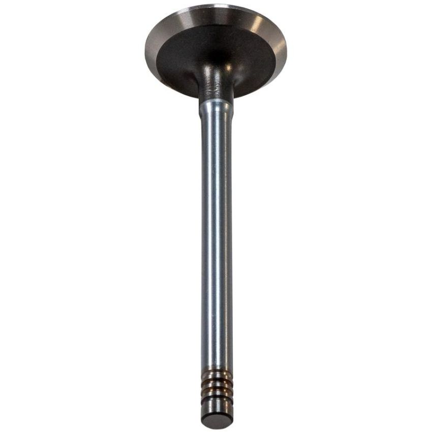 Melling V1269 Stock Replacement Exhaust Valve