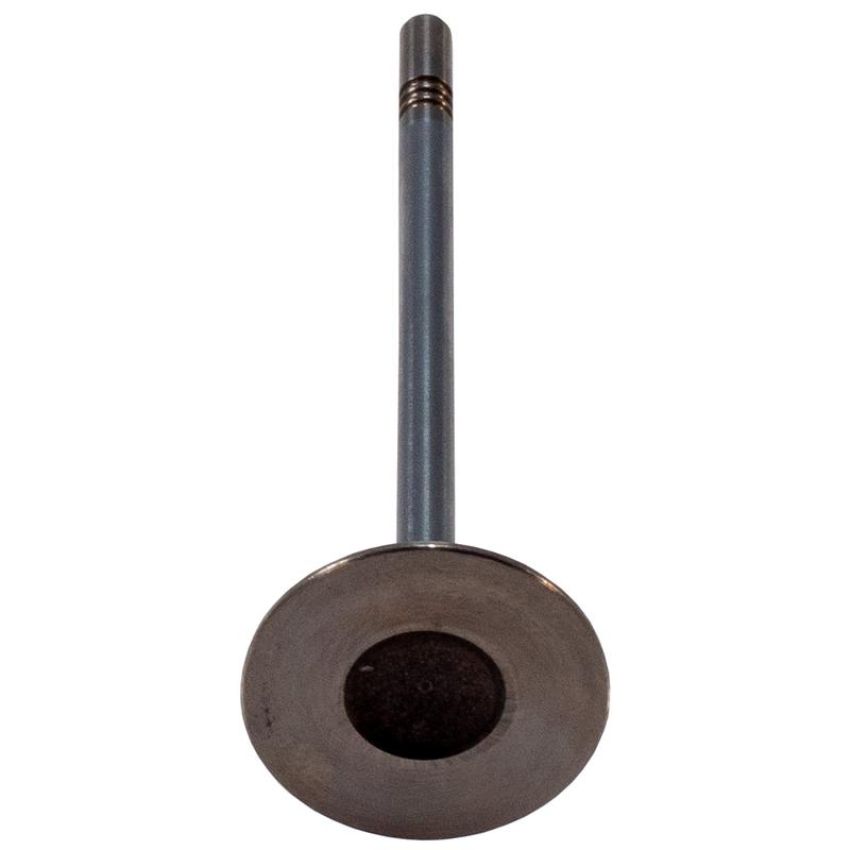 Melling V3428 Stock Replacement Intake Valve