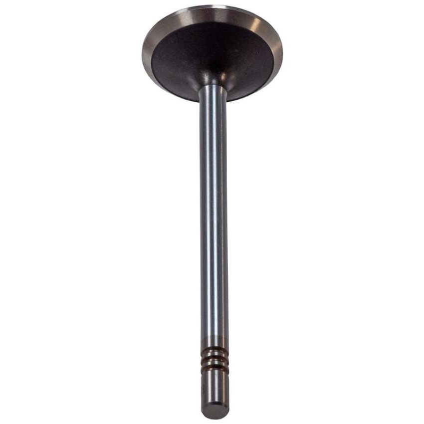 Melling V5560 Stock Replacement Exhaust Valve