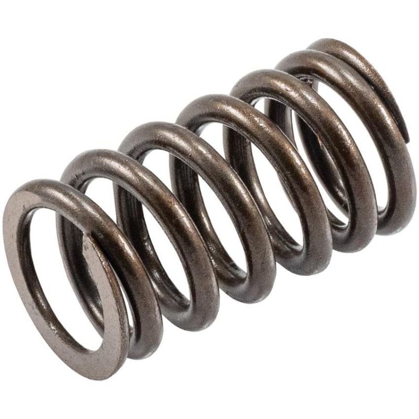 Melling VS-110 Stock Replacement Valve Spring