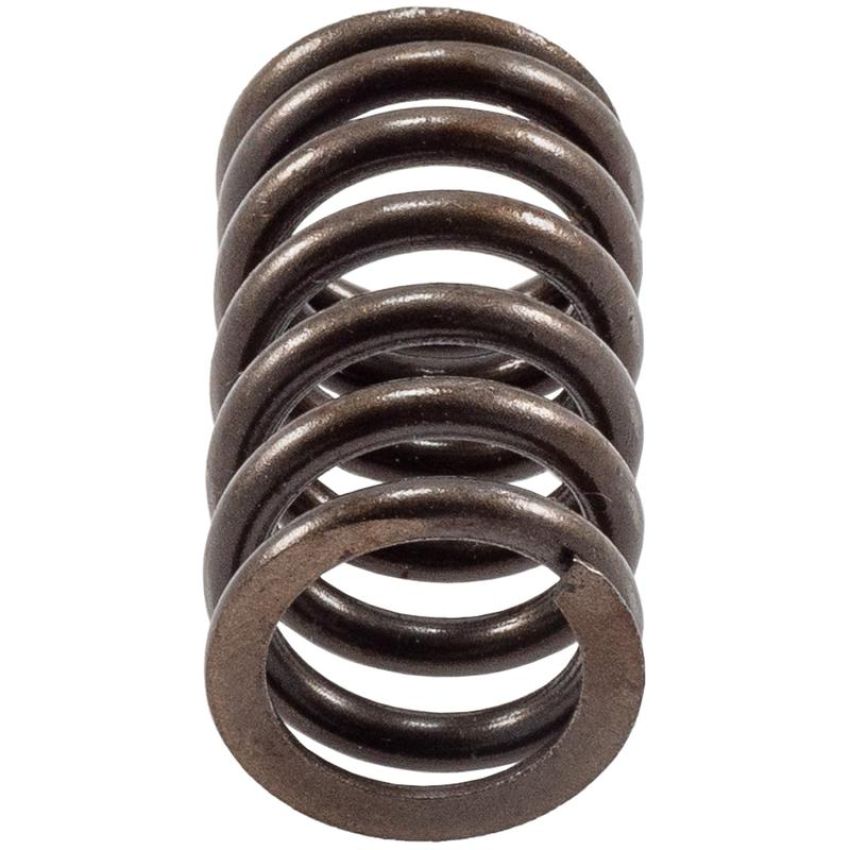 Melling VS-110 Stock Replacement Valve Spring